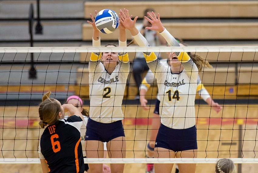 Rachel Krikke Women's Volleyball Cedarville University Athletics